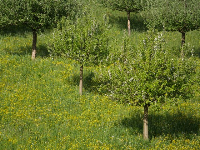 Prévenir les allergies saisonnières durant l’année universitaire